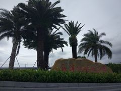 -宝安西湾红树林湿地公园