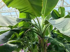 -石家庄市植物园