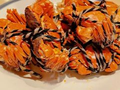 -杨氏青龙虾·羊蝎子(珠江路店)