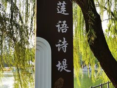 -莲湖公园