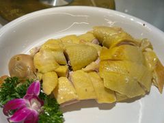-陶缘一号·四季缘·老字号顺德菜·户外婚礼家宴(西滘店)