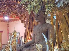 -西双版纳总佛寺