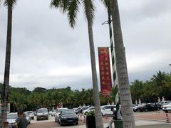-呀诺达热带雨林