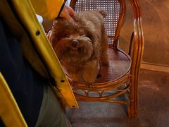 -吉友粥底火锅(方斜路店)