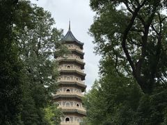 -灵谷景区