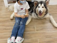 -李小姐の猫咖啡馆(五角场店)