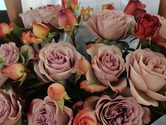 -循礼门鲜花花市(武汉循礼门店)