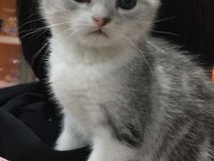 -乐宠宠物店(世纪金源店)