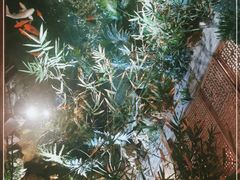 -聚缘堂·海鲜私房菜(松岭路店)