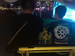 -枫林花海