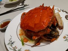 -蝶园·装修中(BFC外滩金融中心店)