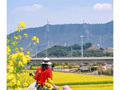 -光明小镇欢乐田园