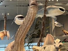 -陕西自然博物馆