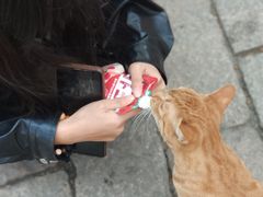 -西园寺素食(西园弄戒幢律寺店)