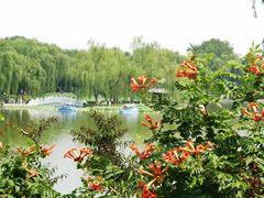 -陶然亭公园