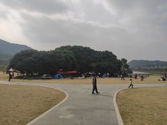 -风云岭森林公园
