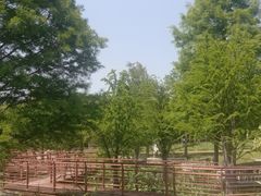 -同里国家湿地公园