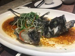 -沙田轩(古北店)