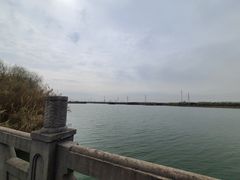 -南湖湿地公园
