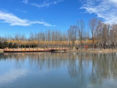 -东郊湿地公园