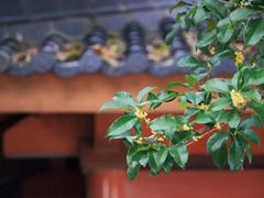 -中国昆曲博物馆
