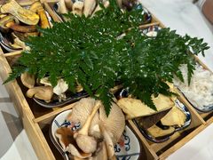 -花菇朵 ll 野生菌锅·精品滇菜(后沙峪店)