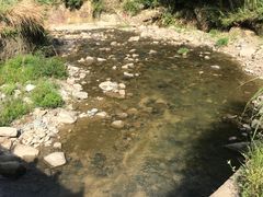 -将军关探险漂流