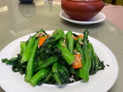 生炒菜心-沙龙酒家