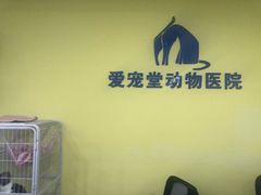 -瑞鹏宠物医院·爱宠堂·骨外专科(西荷分院)