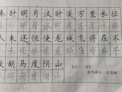 -赵汝飞练字(南京路国际贸易中心校区)