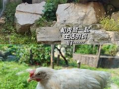 -青岛森林野生动物世界