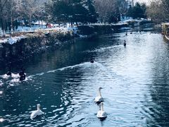 -长白岛森林公园