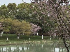 -阳澄湖费尔蒙酒店