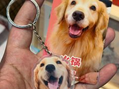-和它·交个朋友·狗咖猫咖(爱琴海店)