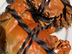 -晶丽香榭自助餐(南京大饭店)