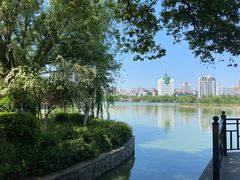 -沙市市中山公园
