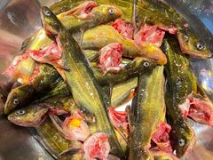 -肖肖酸萝卜鱼火锅(总店)