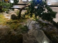 -潮粥荟·潮汕砂锅粥(朝阳大悦城店)