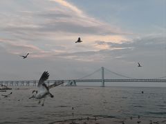 -星海广场