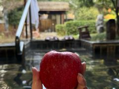 -观唐（国际）度假村温泉