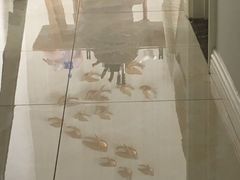 -北京美家洁开荒保洁清洗公司