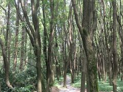 -同里国家湿地公园