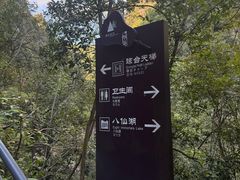 -天台山琼台仙谷景区
