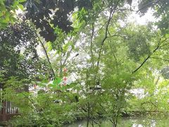 -成都市活水公园