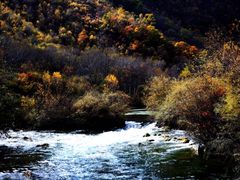-叠溪松坪沟景区