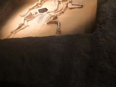 -洛阳周王城天子驾六博物馆