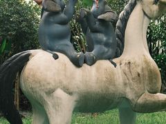 -瑞丽独树成林风景区