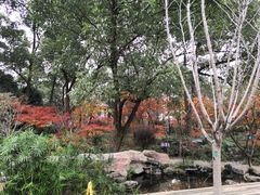 -南山植物园