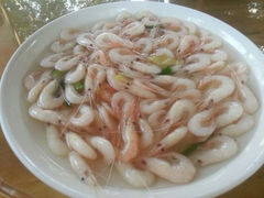 android_upload_pic-四季园农家乐