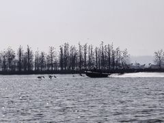 -东湖落雁景区